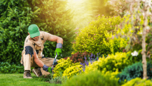Ouvrier paysagiste